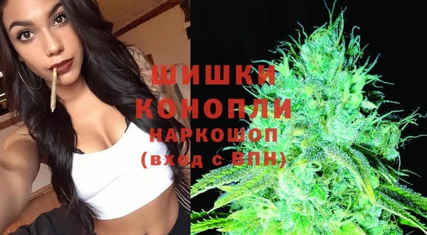 ешки Заводоуковск