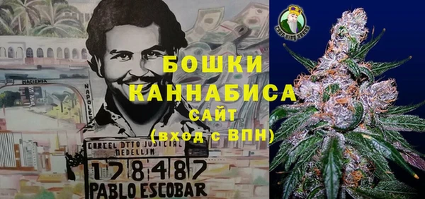 ешки Заводоуковск
