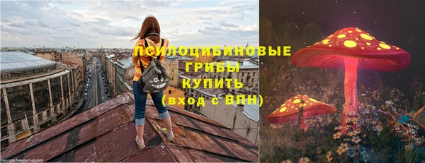 соль ск Зерноград