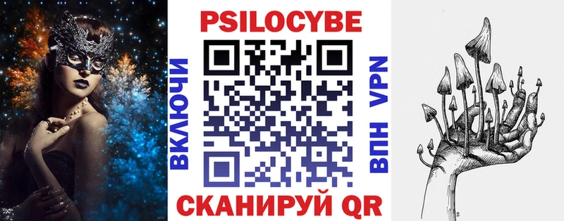 купить закладку  Таштагол  shop наркотические препараты  Галлюциногенные грибы Psilocybe 